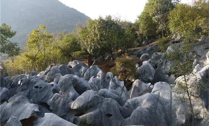 浙西的秘境山水打包送给你,这条自驾路线夏天去正好