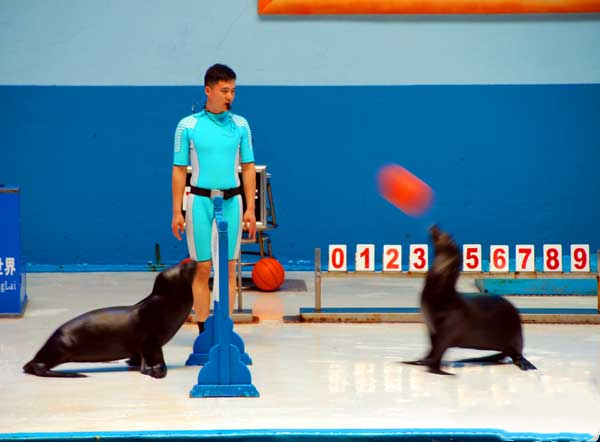 山东旅游：蓬莱探秘海洋极地世界（图）