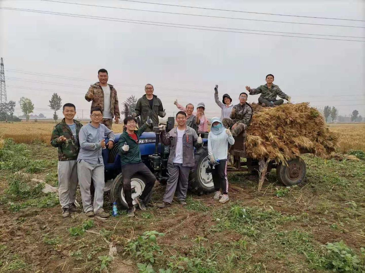 你在种小麦吗？不，我在进行一场修行800 / 作者:UFO爱好者 / 帖子ID:69717