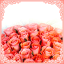 表情|情人节动态表情微信图片大全 2021情人节快乐动态祝福语图片