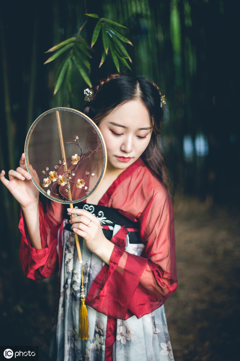 赞颂竹子的唯美诗句：新竹高于旧竹枝，全凭老干为扶持图片