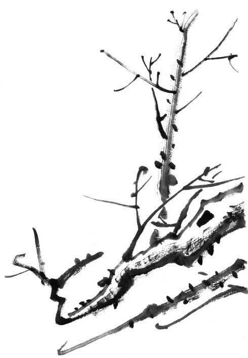 零基础国画入门详细讲解梅花的五种画法手把手教画简单易学