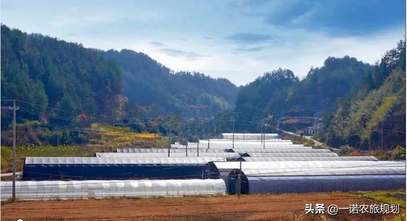 乡村振兴的9种发展模式,探索乡村振兴成功之道