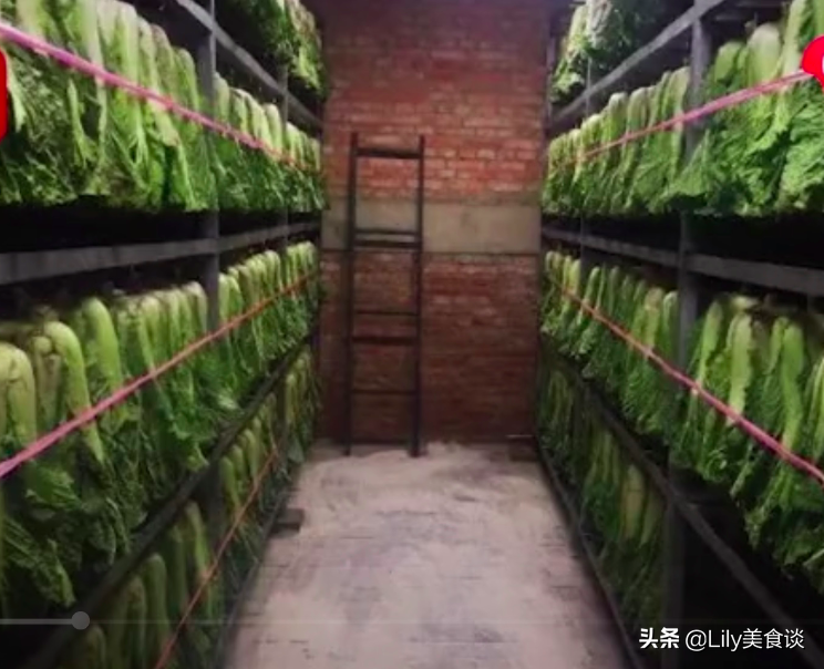 部队食堂到底多整齐？大蒜就忍了，土豆丝实在没忍住，反手就是赞