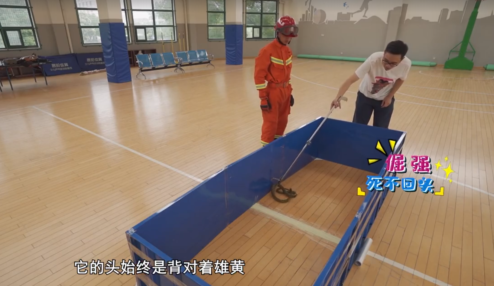 福州38天101起“蛇登门”如此频繁与全球变暖有关吗？如何防蛇？