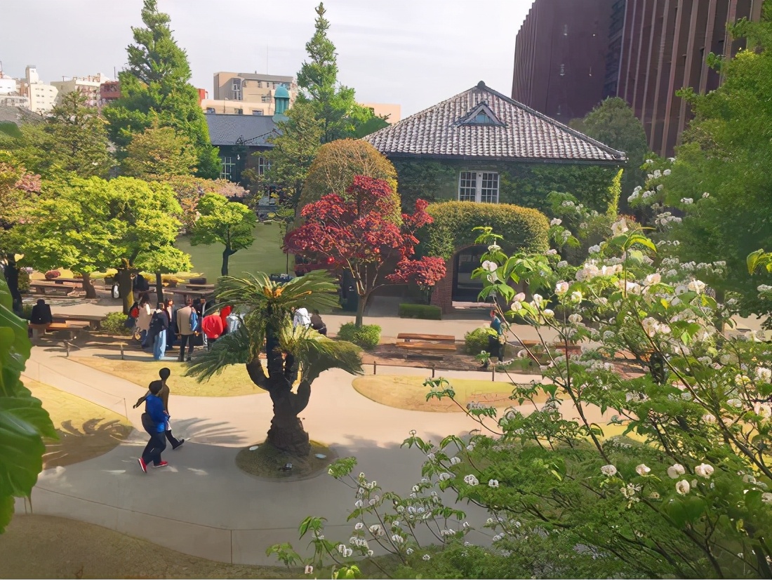 日本留学：有一种美，叫做立教大学