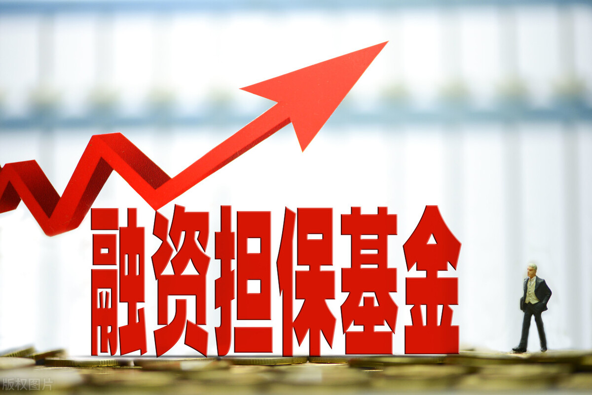 亚太非融资性担保公司，基本信息，公司简介