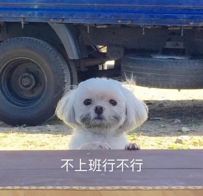 老天爷追着喂饭都没爆红，这位姐到底有多“懒