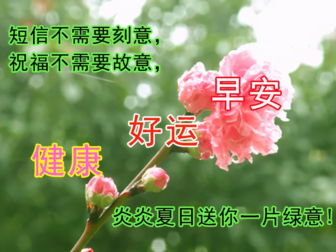 早上好问候语动态表情图文字，微信新的漂亮祝福语图片图片