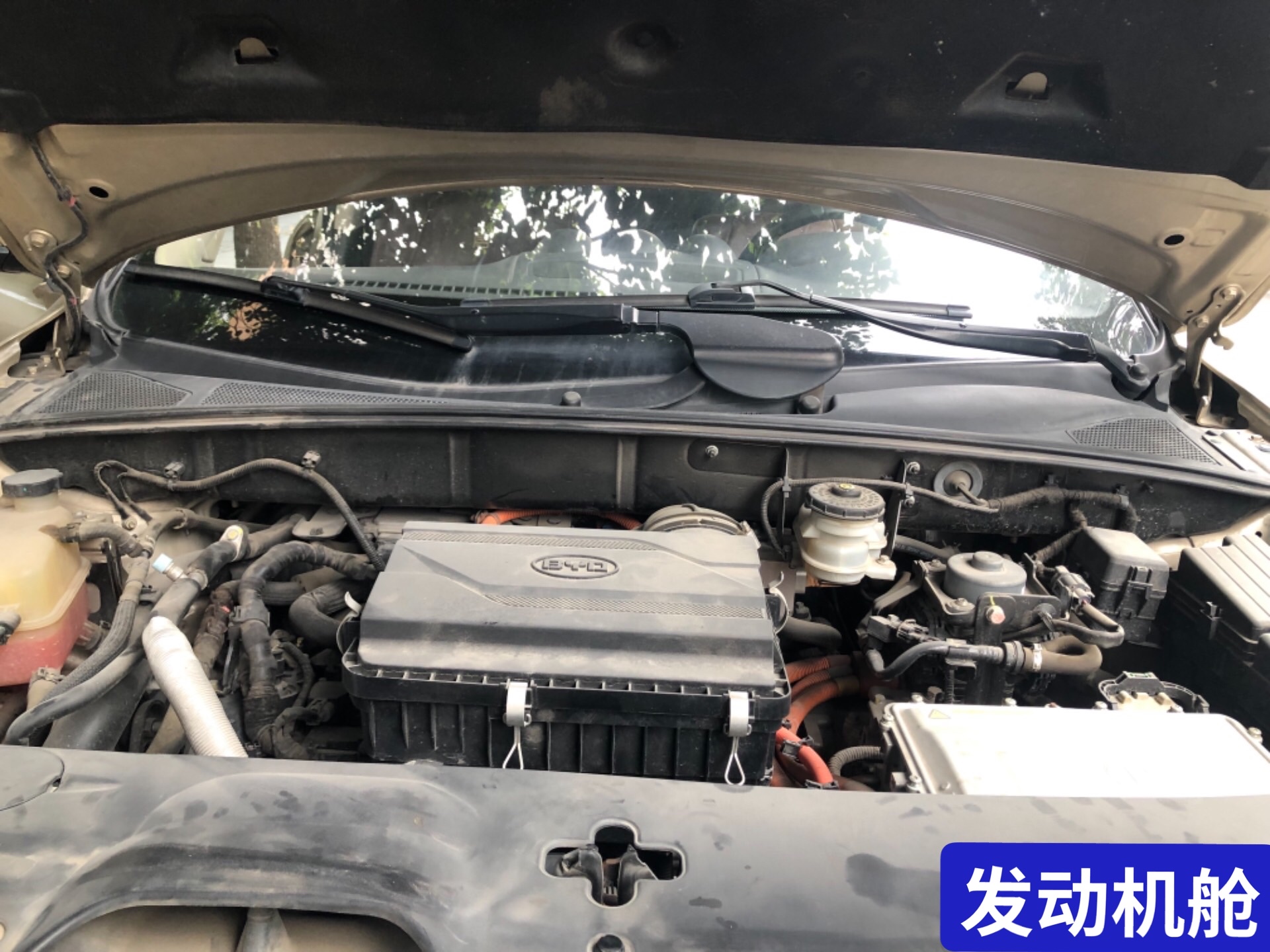 4s店買的二手車也不省心？8萬多買的，開一年不到要虧3萬？