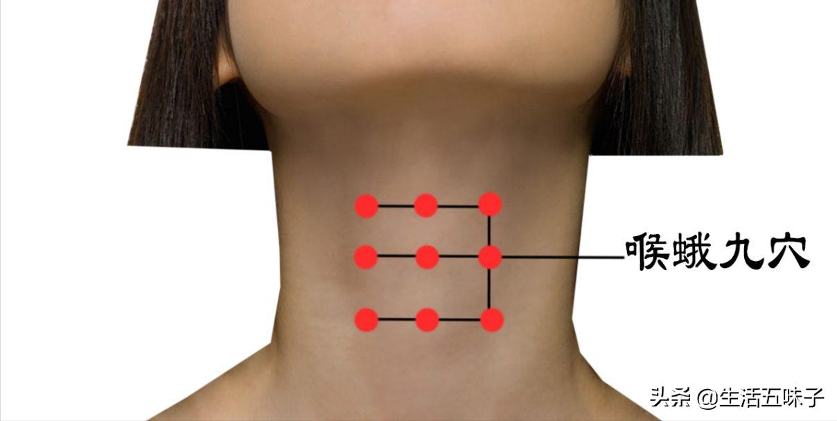 人体的董氏奇穴 喉蛾九穴、十二猴穴 资讯咖