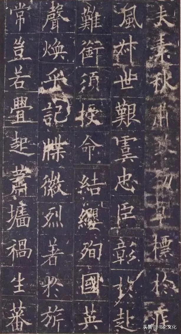 被修复后的欧体,美到骨子里