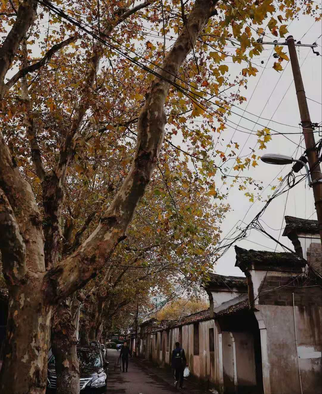 宁波必打卡点，站在破烂不堪的烂尾楼顶上，拍出宁波最繁华的景象