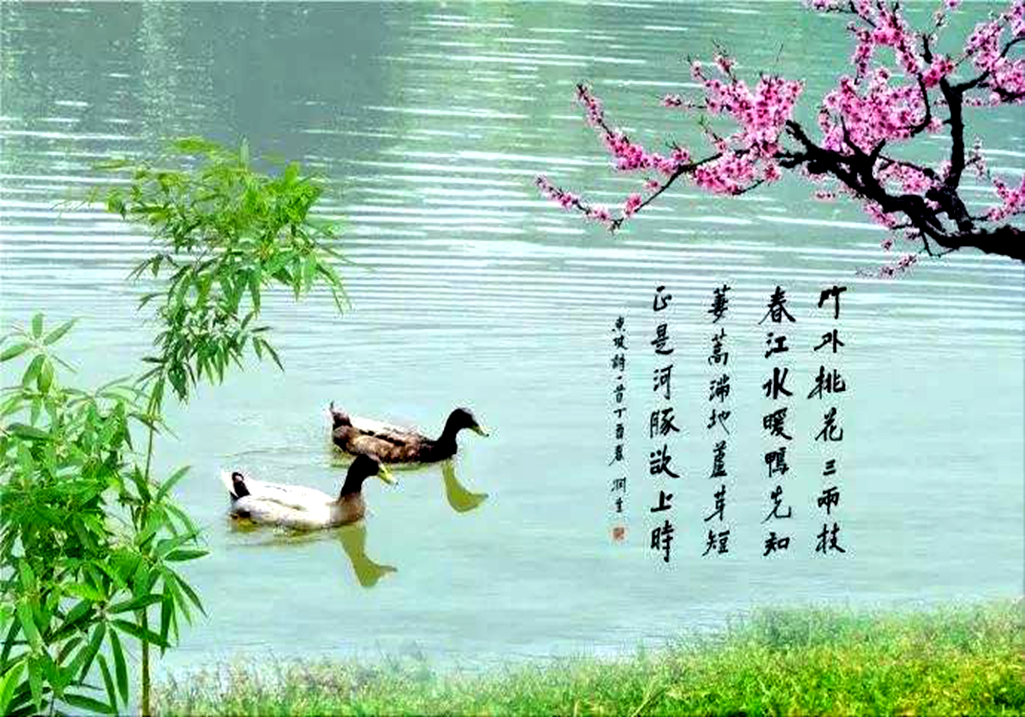 惠崇春江晚景古诗意思解释诗文内容及译文解读