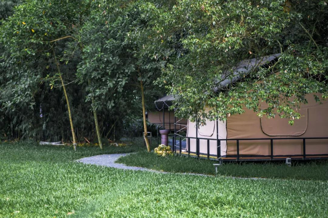 黄花璞营地