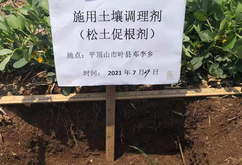 經濟作物種植，離不開的，科學土壤培肥方法