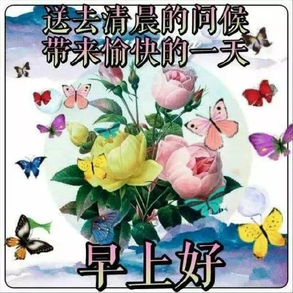 早上好问候祝福图片带字，最美清晨早安动态表情图片图片