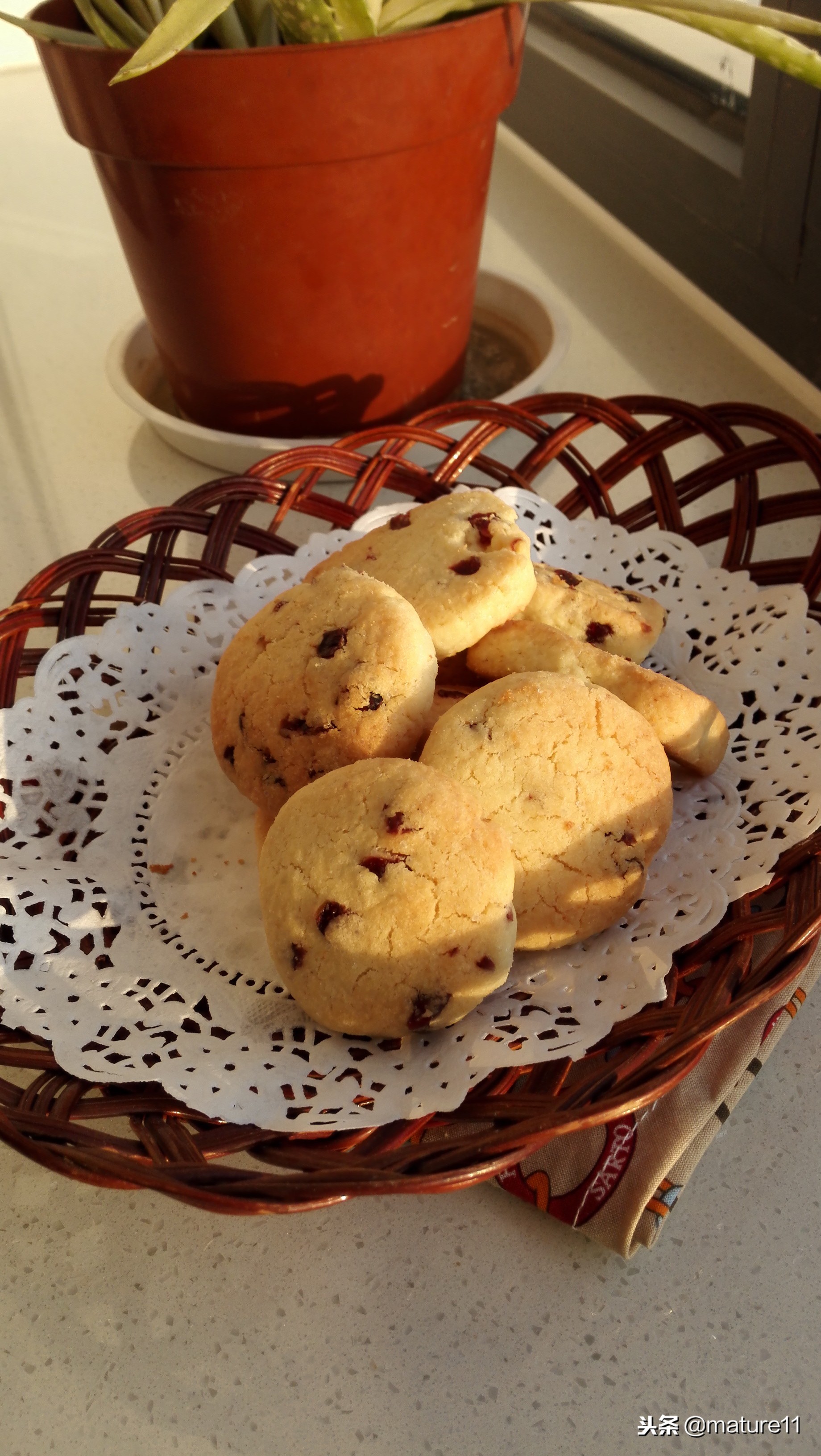 Do Qu Ji to disrelish quantity of heat tall, be afraid of paste, be afraid of crowded bad? That tries this biscuit, particularly simple