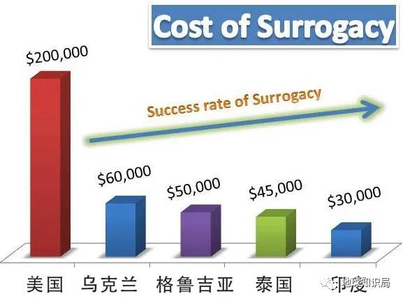 代孕工廠，在這裏 | 地球星空体育官网入口网站局