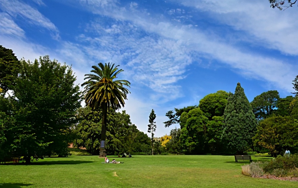 澳大利亞的鱷魚也泛濫了？猛增15萬條，“鱷魚獵人”開始吃香