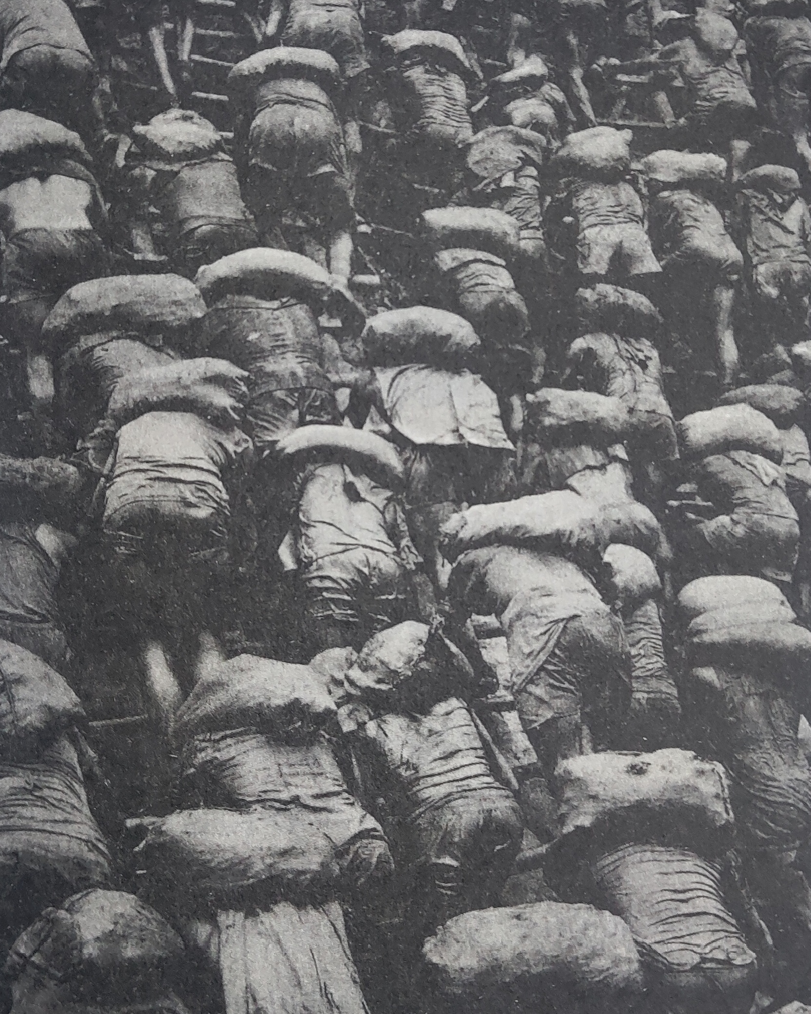 记录历史的六张老照片