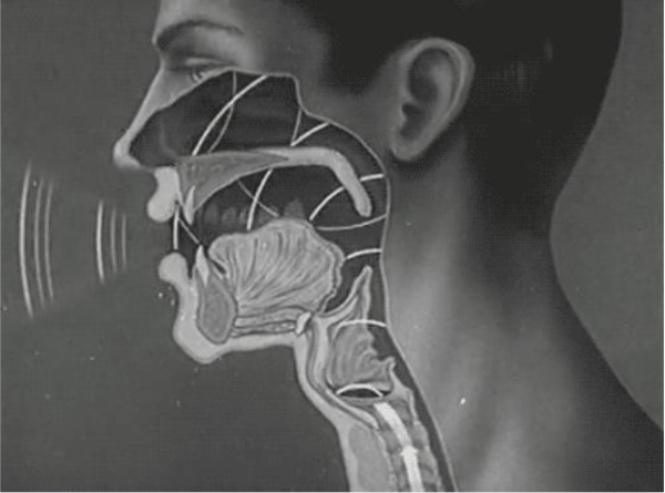 為什么每次聽自己發出去的語音都腳趾抓地？