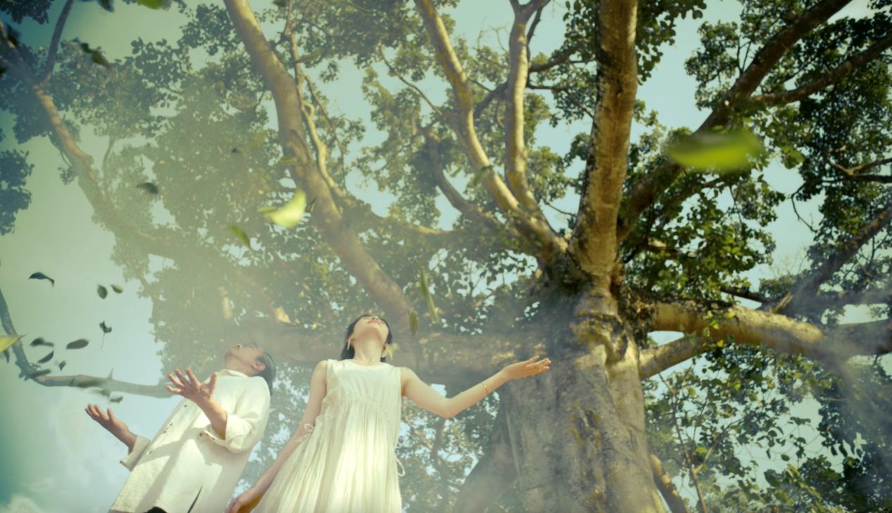 穿上隆基，我在热带北部边缘享受12个月的春天