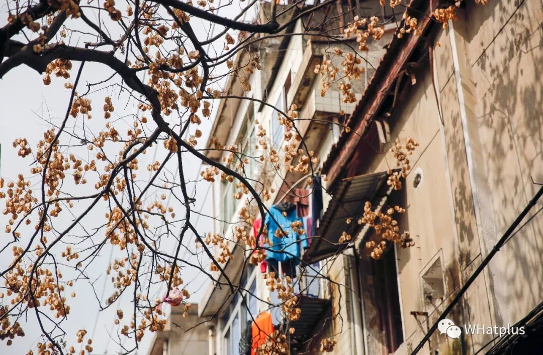 统一街，武汉最贵的“贫民窟”