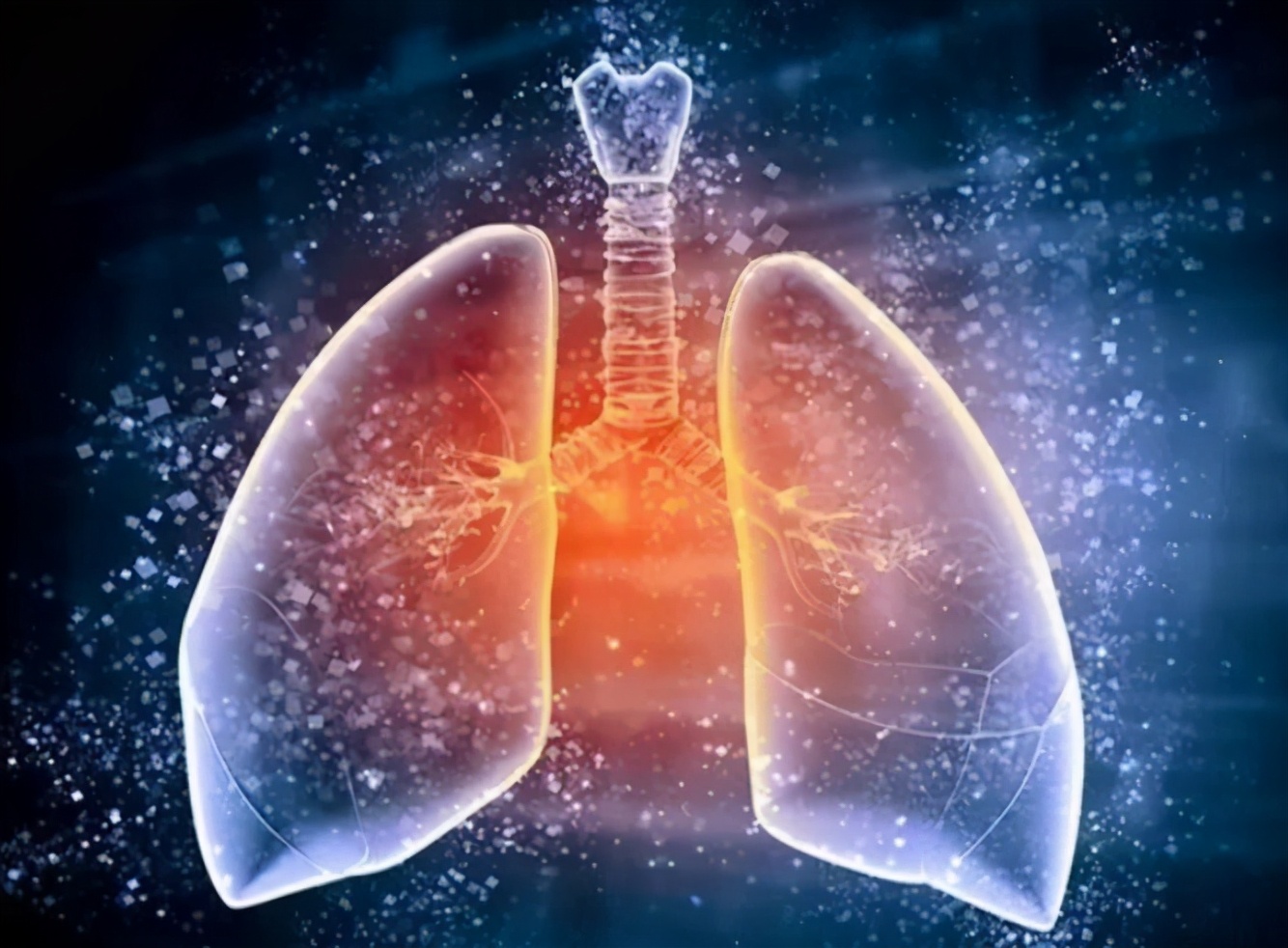 肺部不好要多吃這4類食物，能潤肺化痰，給肺部洗洗澡