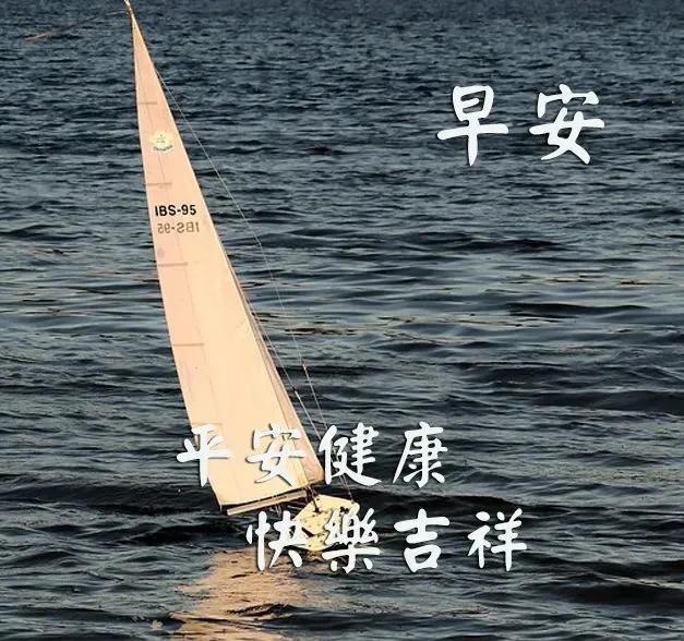 早上好问候祝福图片带字，最美清晨早安动态表情图片图片