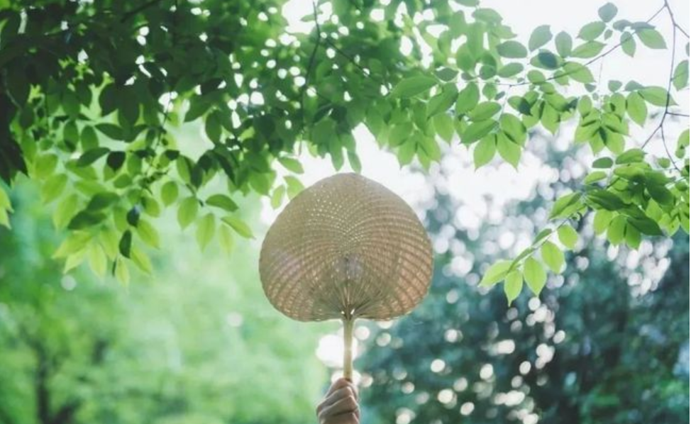 阳光正好，​十首暑中的诗词，开启新的征程-第7张图片-非凡网