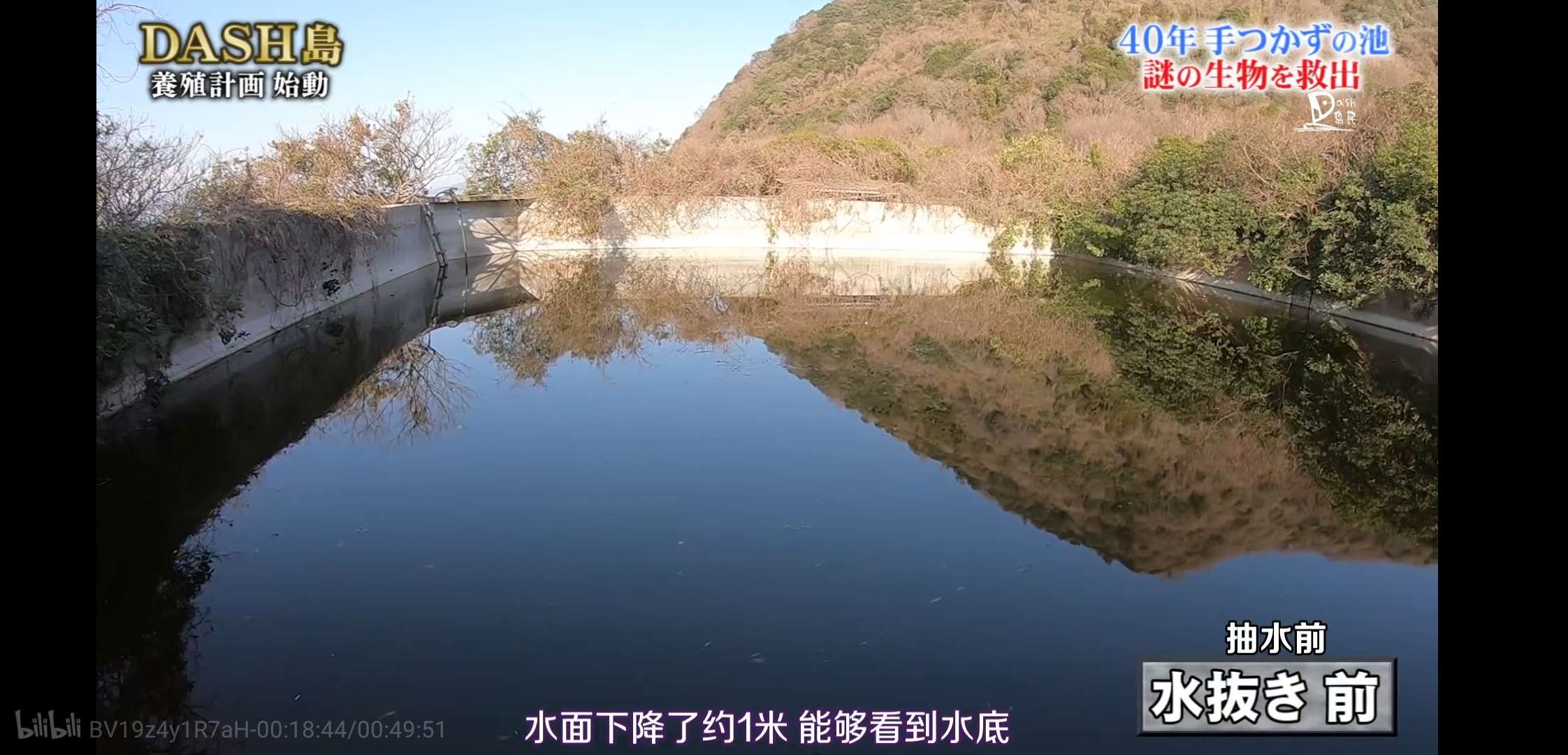 慎入！超恶心！看了这个日本综艺，我的晚饭都