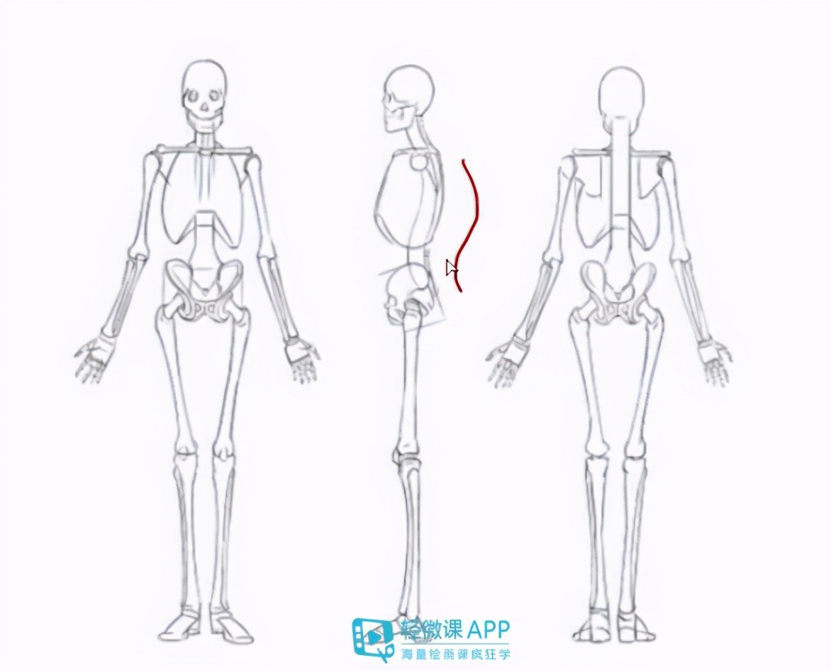 把握人体重心线是很关键!如果大家想要学