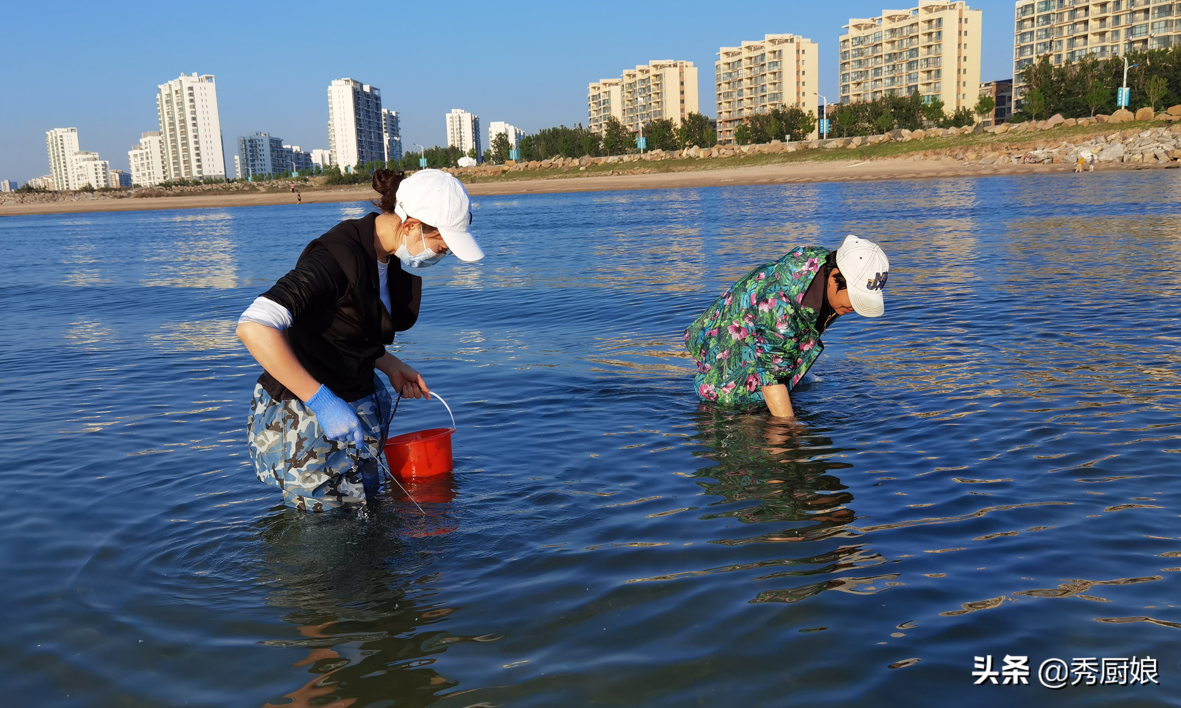 夏季，遇见它别手软，营养极高，多囤点放冰箱冻起来，鲜美又解馋