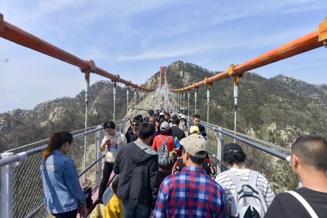 花开春盛游人醉！本周末天蒙山再迎“踏青赏花游”客流小高峰！