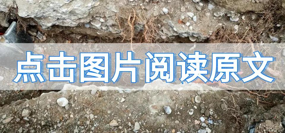 @各位老板，你們要的管暢科技2020燃?xì)夤艿捞綔y(cè)業(yè)績表來了