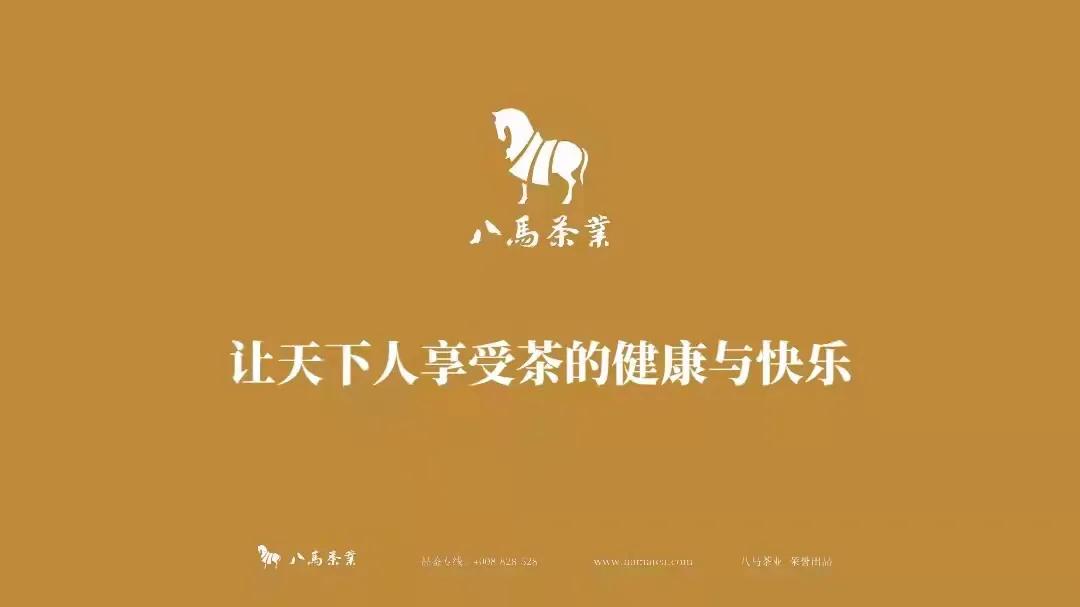 八马茶业闪耀蓉城 邀你品味传承近300年的历史