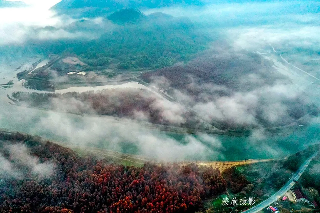 金秋皖南摄影线处处是美景,看那绝美红杉林,色彩斑斓美如油画