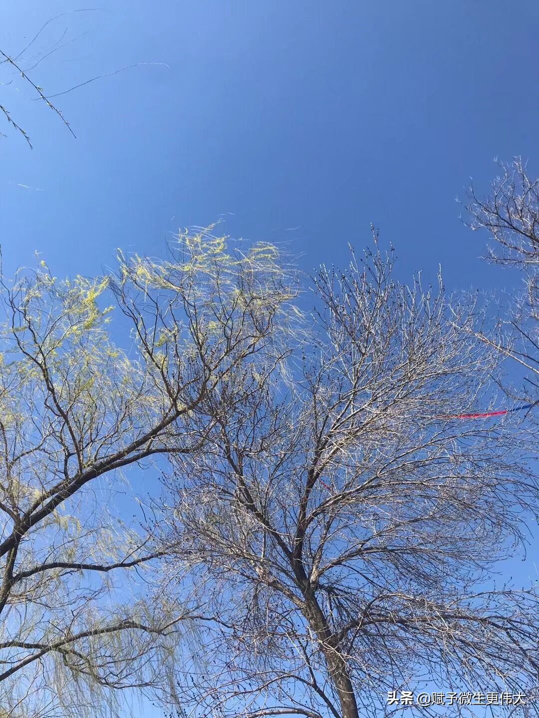 一样春——沙暴之后最好天