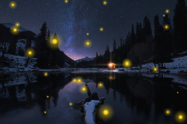 螢火蟲進入最佳觀賞期！萬萬沒想到，它發光竟然是為了求偶…