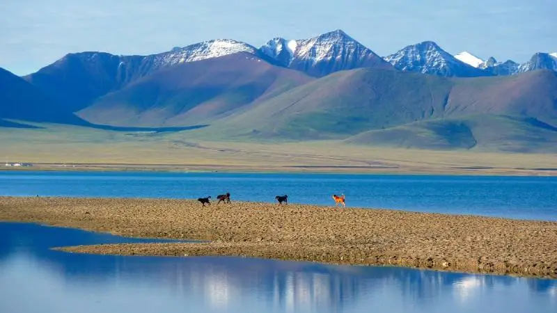 Walk through 318 secrets once and experience the beauty of more than Switzerland + New Zealand