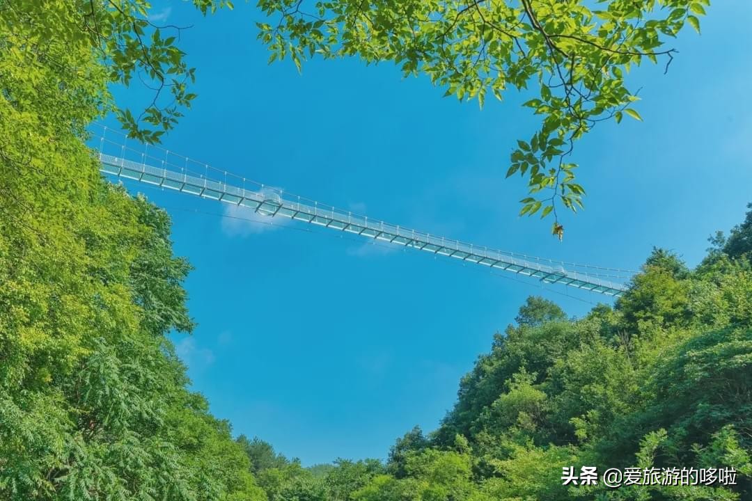 The best place to travel in October-November, the late autumn tour bus is about to depart