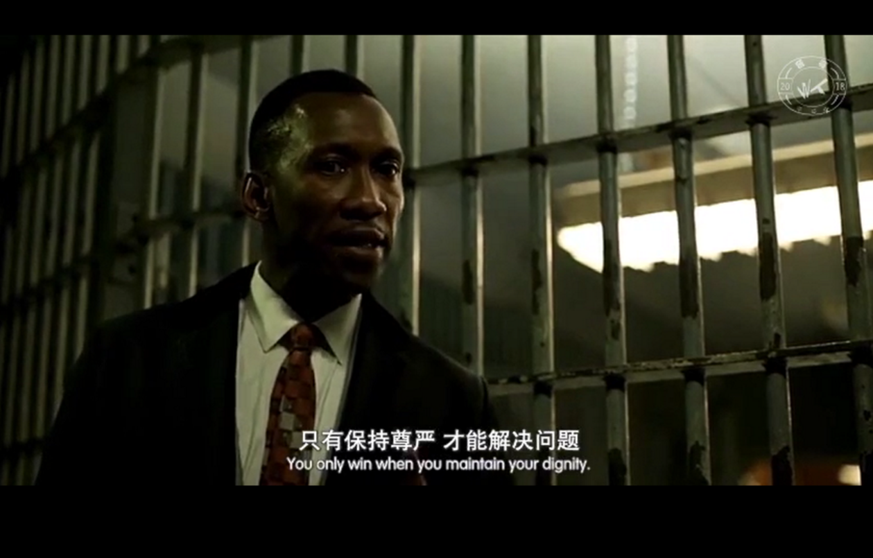 從奧斯卡《綠皮書》到暢銷書《柏青哥》： 旅途、漂泊與自我救贖