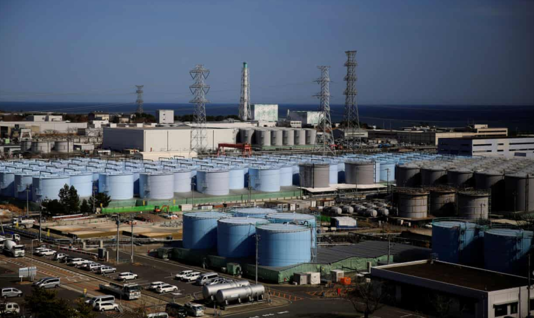 福岛黑鲉鱼禁止上市，日本核废水早就排放了，是真的？危害多大？