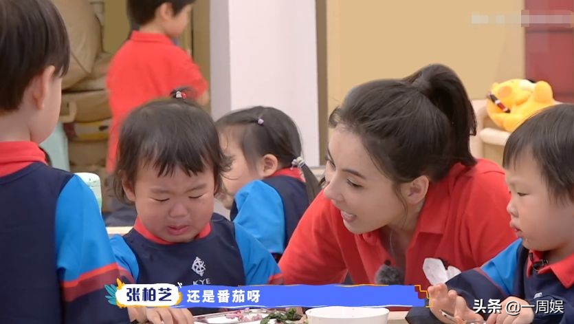 张柏芝体验当幼师，经验丰富让人佩服，终于明白她为何生三胎