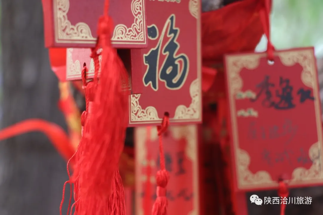 “洽”（hé）你一起度中秋