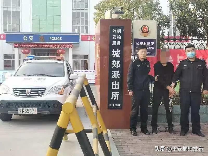 “蒙脸少年”已落网
