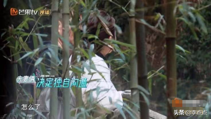 看到陳建斌、蔣勤勤夫妻倆，我還是不離婚了