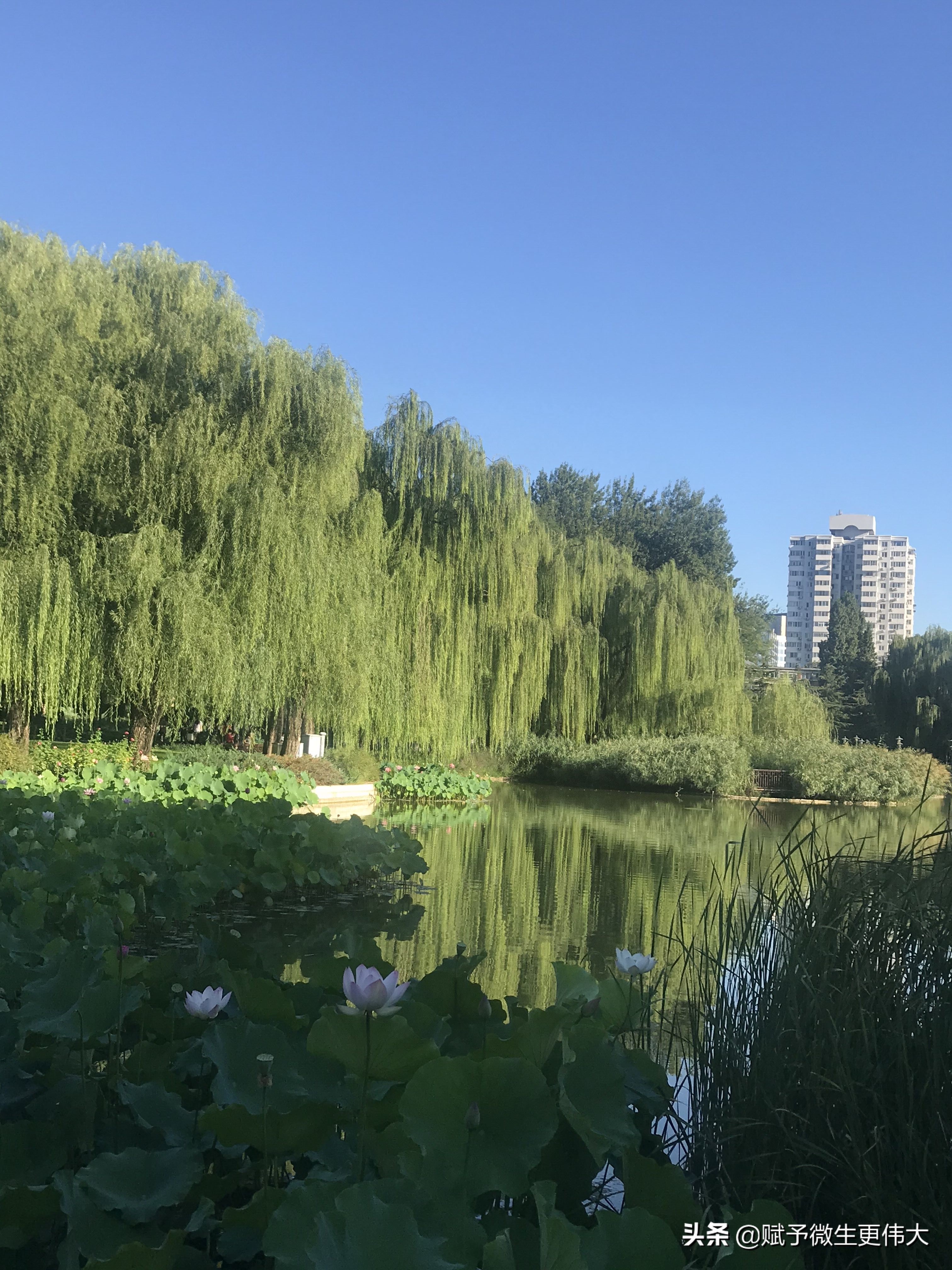 快瞅瞅——怀君属秋夜，散步咏凉天