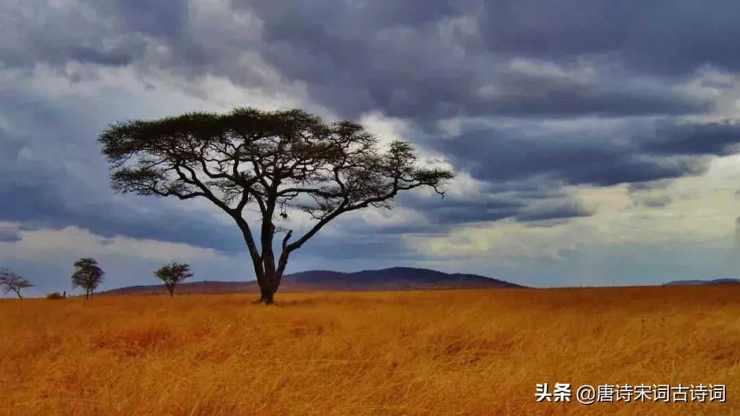 无比深情的十首爱情诗，每每读来都被其中凝含的深情所感动-第7张图片-诗句网